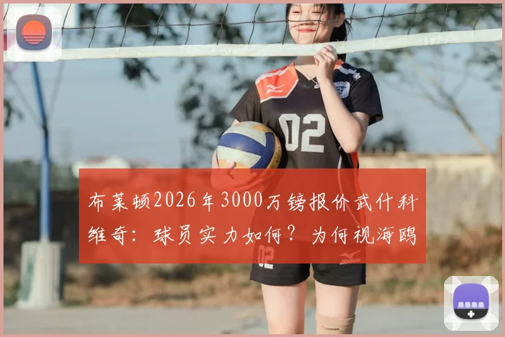 布莱顿2026年3000万镑报价武什科维奇:球员实力如何?为何视海鸥为跳板,未来能否登陆豪门?