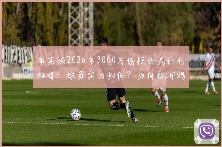 布莱顿2026年3000万镑报价武什科维奇：球员实力如何？为何视海鸥为跳板，未来能否登陆豪门？