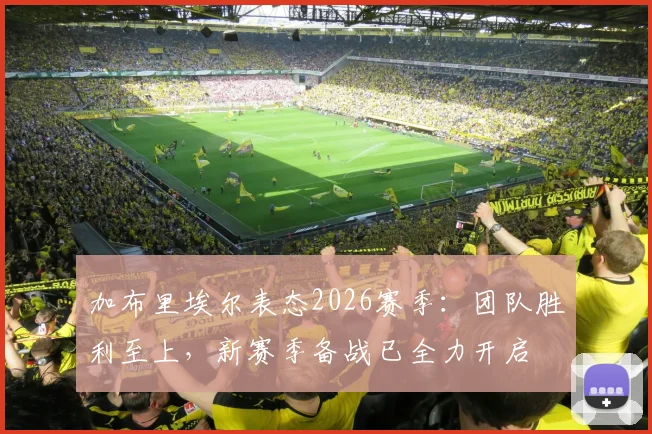 加布里埃尔表态2026赛季：团队胜利至上，新赛季备战已全力开启